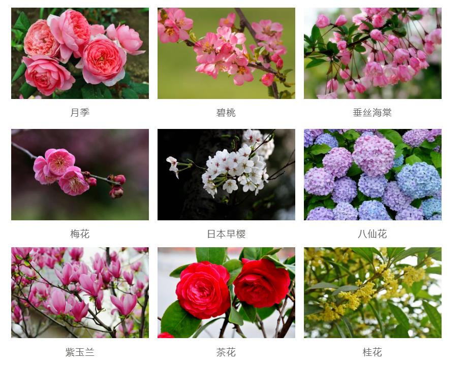 園林景觀工程如何節(jié)約成本？