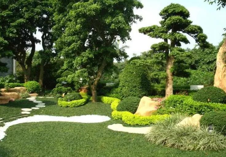 園林景觀設(shè)計(jì)之植物墻設(shè)計(jì)在哪些地方適合？